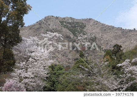 Mt. Konosu from Ojihira Nature Park 39774176