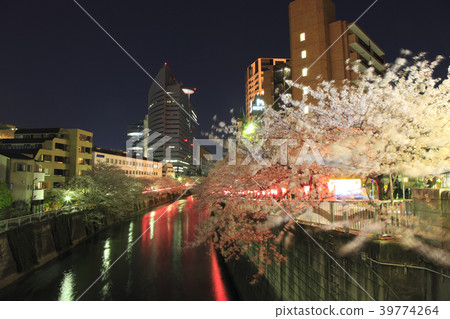 Megurogawa Sakura Festival晚景 39774264