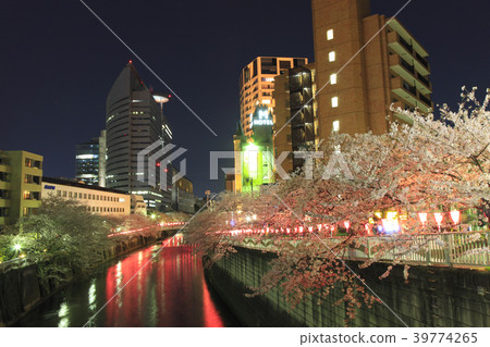 Megurogawa Sakura Festival晚景 39774265