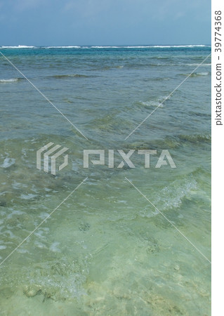 Beach scene of Kuroshima (Okinawa Prefecture) Beach scene of Kuroshima (Okinawa Prefecture) 39774368