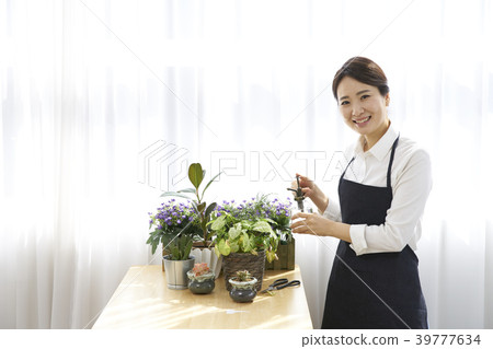 Gardening Flower pot indoor landscape 39777634