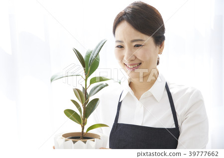 Gardening Flower pot indoor landscape Gardening Flower pot indoor landscape 39777662