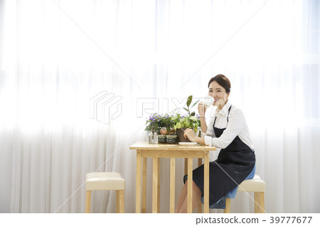 Gardening Flower pot indoor landscape 39777677