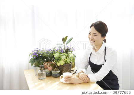 Gardening Flower pot indoor landscape Gardening Flower pot indoor landscape 39777693