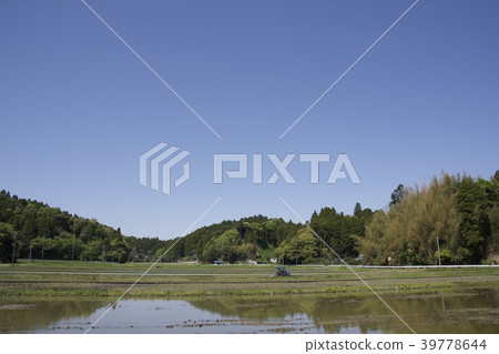 Rice planting season 39778644