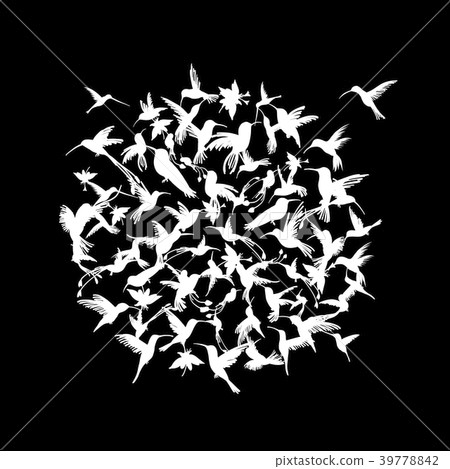 Colibri collection, sketch for your design 39778842