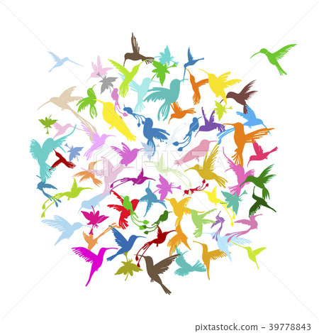 Colibri collection, sketch for your design Colibri collection, sketch for your design 39778843