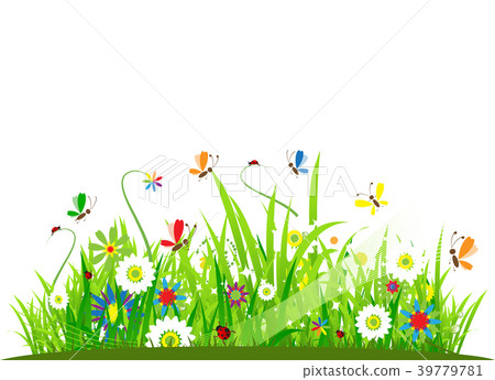 Summer meadow beautiful 39779781