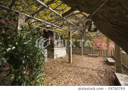 Momiji Festival Venue最近的神社（兵庫縣坂井市山一町） 39780769