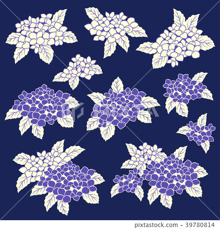 日本繡球花, 日本繡球花, 39780814