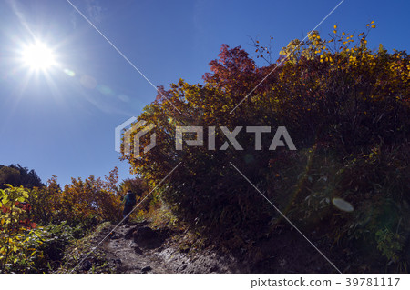 Three-way rock climbing in autumn Three-way rock climbing in autumn 39781117