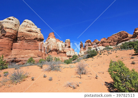 Needles District in Canyonlands National Park Needles District in Canyonlands National Park 39782513
