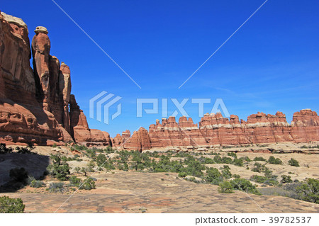 Needles District in Canyonlands National Park 39782537