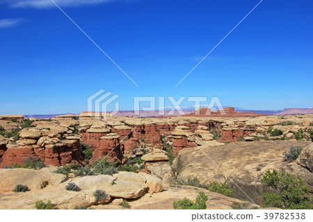 Needles District in Canyonlands National Park 39782538