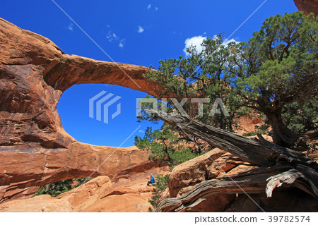 Woman hiker poses at Double O Arch at Arches 39782574