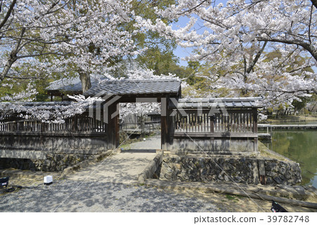 Owani Oaisawa pond 39782748