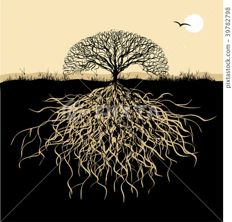 Tree silhouette with roots Tree silhouette with roots 39782798