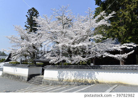 Nanzenji Tower head 39782982