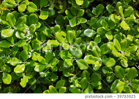 對沖離開 39783025