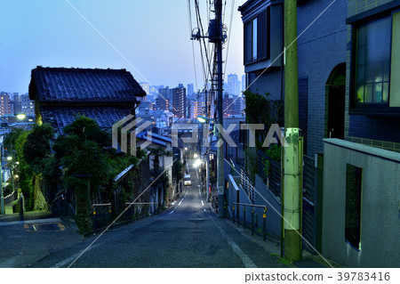 來自Mejirodai和Nizaka-zaka的Fujimi-zaka的新宿霓虹和暮光之城 來自Mejirodai和Nizaka-zaka的Fujimi-zaka的新宿霓虹和暮光之城 39783416