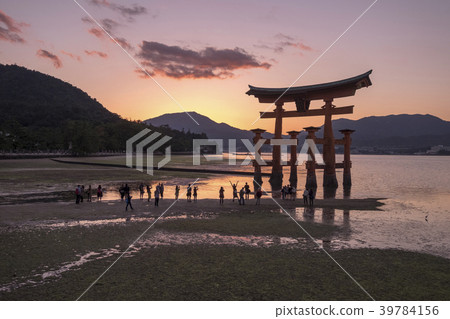 Akino Miyajima, sunset 39784156