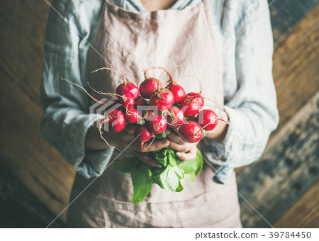 Female farmer in apron holding bunch of radish in 39784450