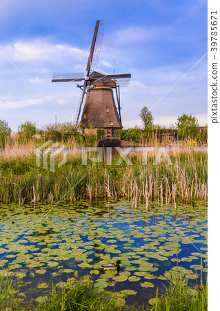 Windmills in Kinderdijk - Netherlands Windmills in Kinderdijk - Netherlands 39785671