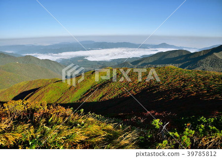 Mihonmachi Mihonmachi 39785812