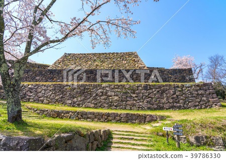 Ishigaki of Yonago castle ruins of the spring where cherry blossoms bloom 39786330