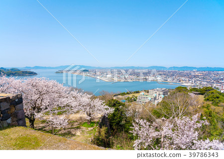 View from the ruins of Yonago Castle in spring with blooming cherry blossoms Yoneko Port area 39786343