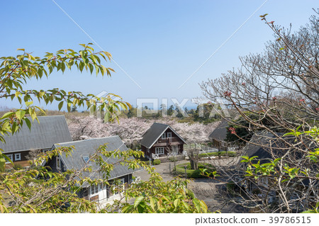 Sakura and Pension in Izu Kogen Sakura and Pension in Izu Kogen 39786515