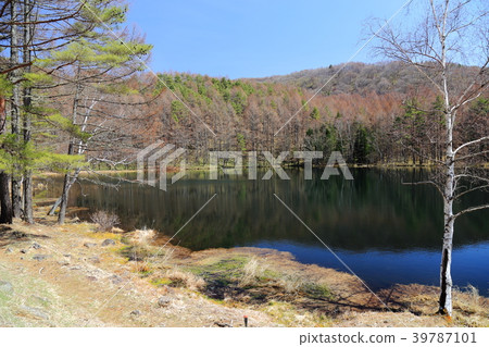 Okai Kaike（長野縣Koshino市） 39787101