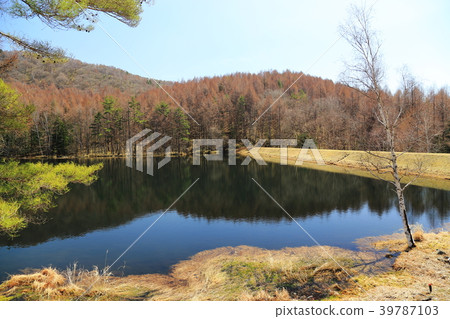 Okai Kaike（長野縣Koshino市） 39787103