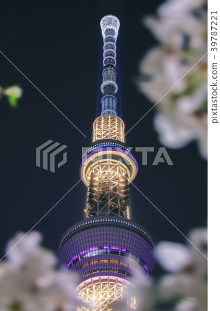 天空樹和櫻桃樹 天空樹和櫻桃樹 39787221