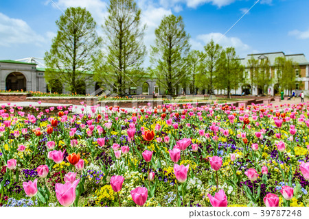 水果花卉園 水果花卉園 39787248