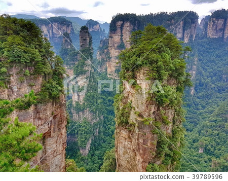 Zhangjiajie National Forest Park - China 39789596