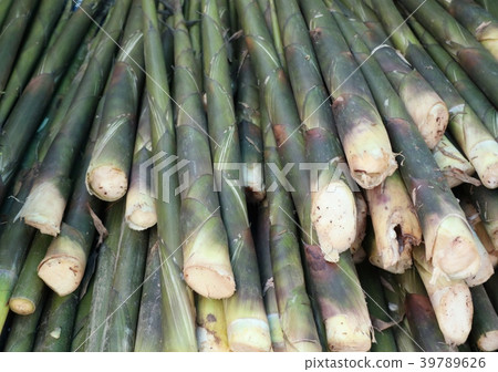 Bamboo shoot at street food Bamboo shoot at street food 39789626