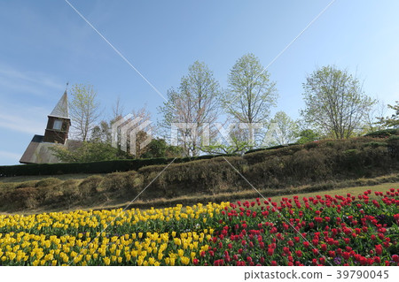 神戶水果花卉公園大澤 神戶水果花卉公園大澤 39790045