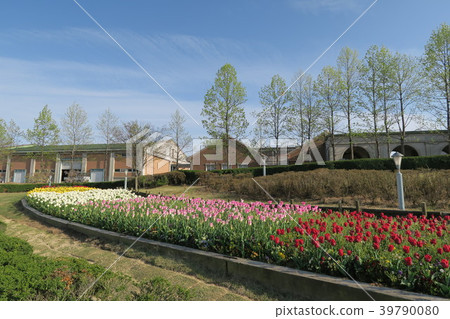 Kobe Fruit Flower Park Osawa Kobe Fruit Flower Park Osawa 39790080