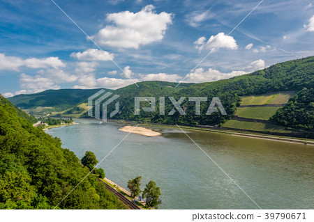 Vineyards at Rhine Valley in Germany 39790671