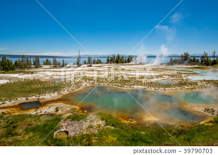 Hot thermal spring in Yellowstone 39790703