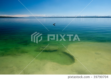 Yellowstone Lake, Wyoming, USA 39790704