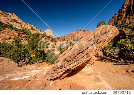 Landscape in Zion National Park 39790716