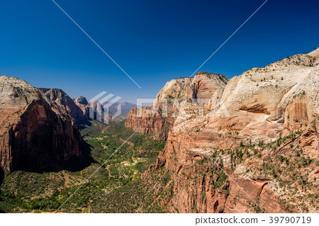 Landscape in Zion National Park 39790719