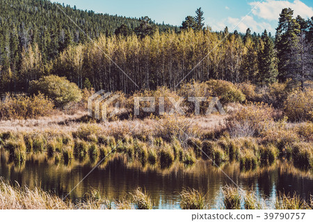 Lily Lake at Rocky Mountains, Colorado, USA. Lily Lake at Rocky Mountains, Colorado, USA. 39790757