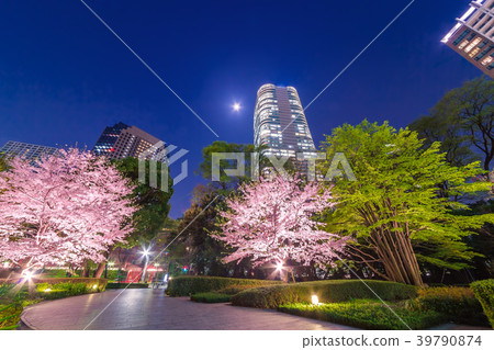 High-rise buildings and cherry blossoms High-rise buildings and cherry blossoms 39790874
