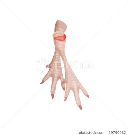 Raw chicken feet, fresh meat concept vector Raw chicken feet, fresh meat concept vector 39790982