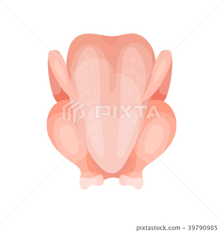 Fresh raw chicken vector Illustration on a white 39790985