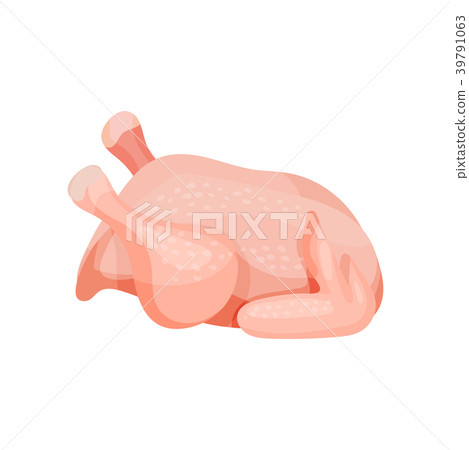 Whole fresh raw chicken vector Illustration on a 39791063
