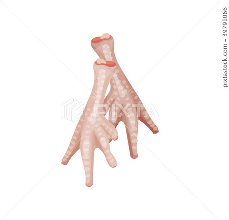 Raw chicken feet, parts of chicken carcass vector 39791066